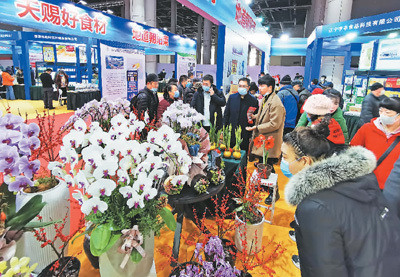 農(nóng)產(chǎn)品展銷人氣旺