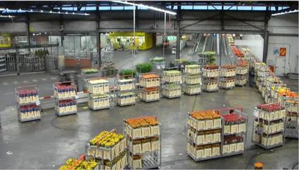 新農(nóng)村 新征程 新發(fā)展|如何推動農(nóng)產(chǎn)品物流與供應鏈的變革?