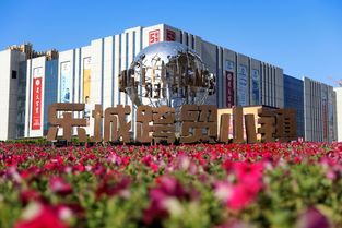 石家莊樂(lè)城領(lǐng)跑智慧商貿(mào)產(chǎn)業(yè)集群,促進(jìn)商貿(mào)流通發(fā)展