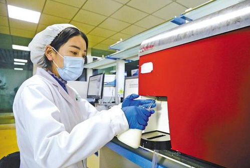 拉薩市 服務(wù)保障做到位 歡歡喜喜過(guò)新年