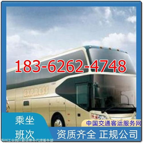 2025年南京至湛江長途客車班次排名及票務代理服務指南